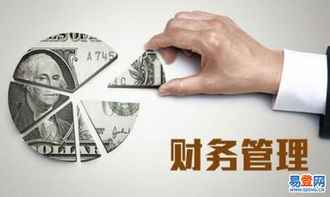 东西湖进出口代理业务解析与优势探索