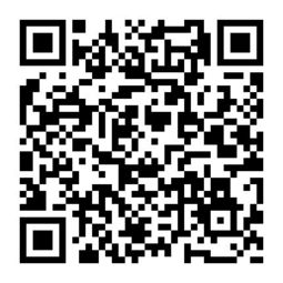 东莞进出口报关代理选择指南 优质公司与核心考量因素